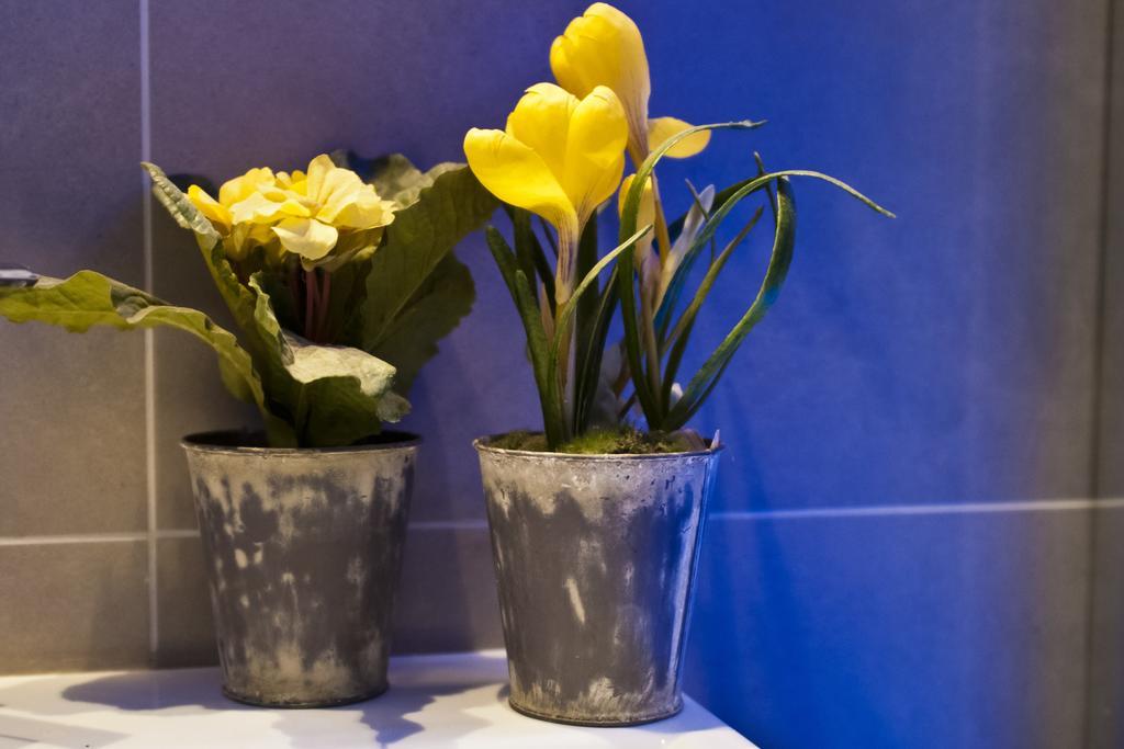 Domus Fontis Bed & Breakfast Roma Rom bilde